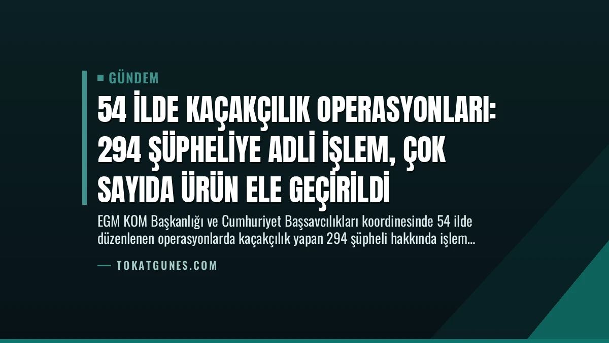 54 İlde Kaçakçılık Operasyonları: 294 Şüpheliye Adli İşlem, Çok Sayıda Ürün Ele Geçirildi