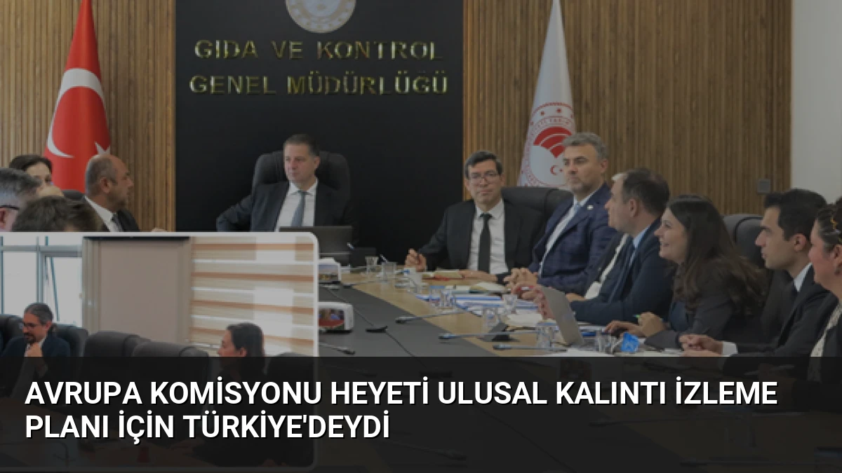 Avrupa Komisyonu Heyeti Ulusal Kalıntı İzleme Planı İçin Türkiye’deydi