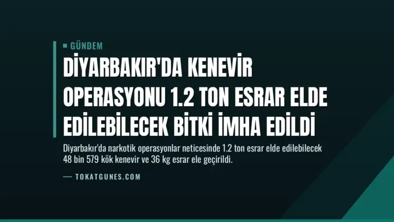 Diyarbakır’da Kenevir Operasyonu 1.2 Ton Esrar Elde Edilebilecek Bitki İmha Edildi