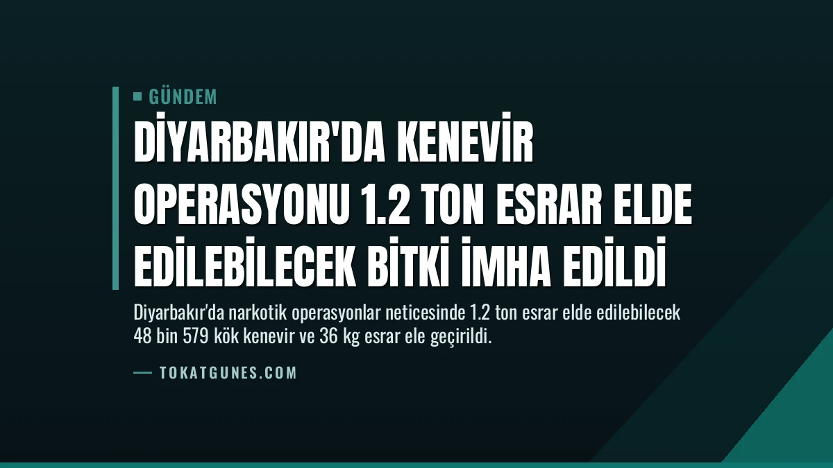 Diyarbakır’da Kenevir Operasyonu 1.2 Ton Esrar Elde Edilebilecek Bitki İmha Edildi