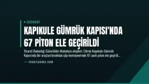 Kapıkule Gümrük Kapısı’nda 67 Piton Ele Geçirildi