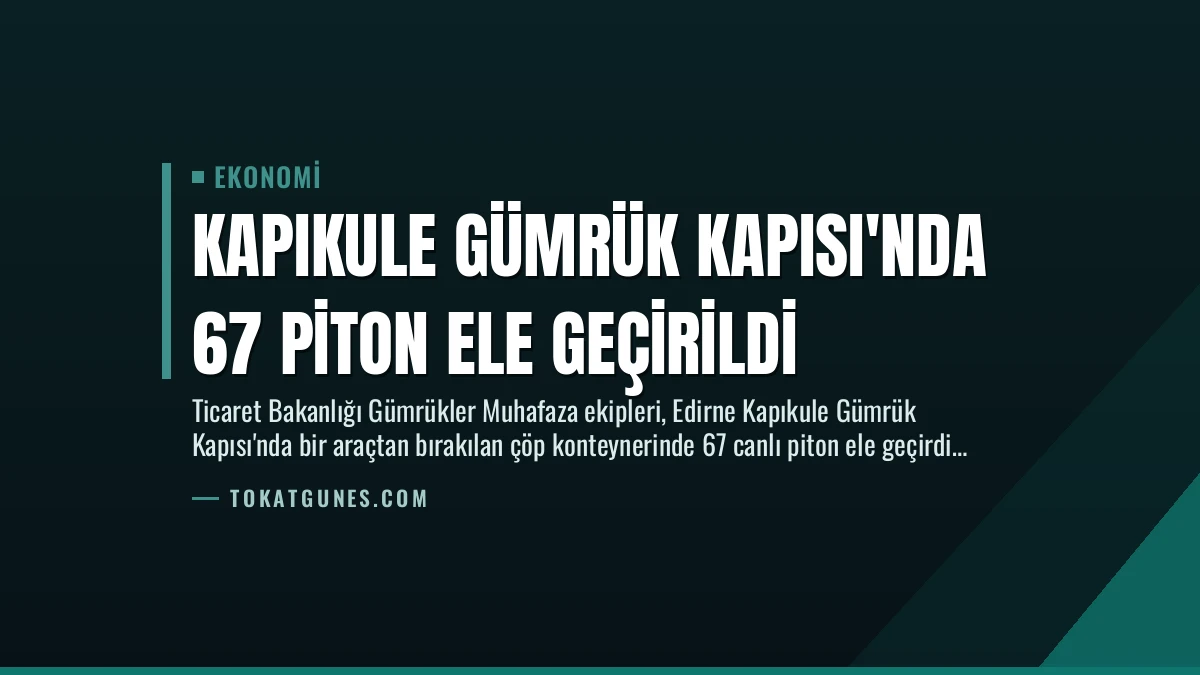 Kapıkule Gümrük Kapısı’nda 67 Piton Ele Geçirildi