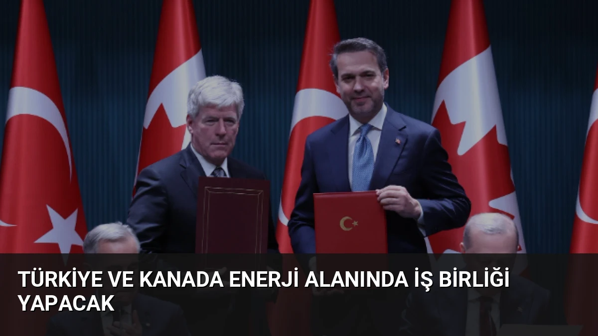 Türkiye ve Kanada Enerji Alanında İş Birliği Yapacak